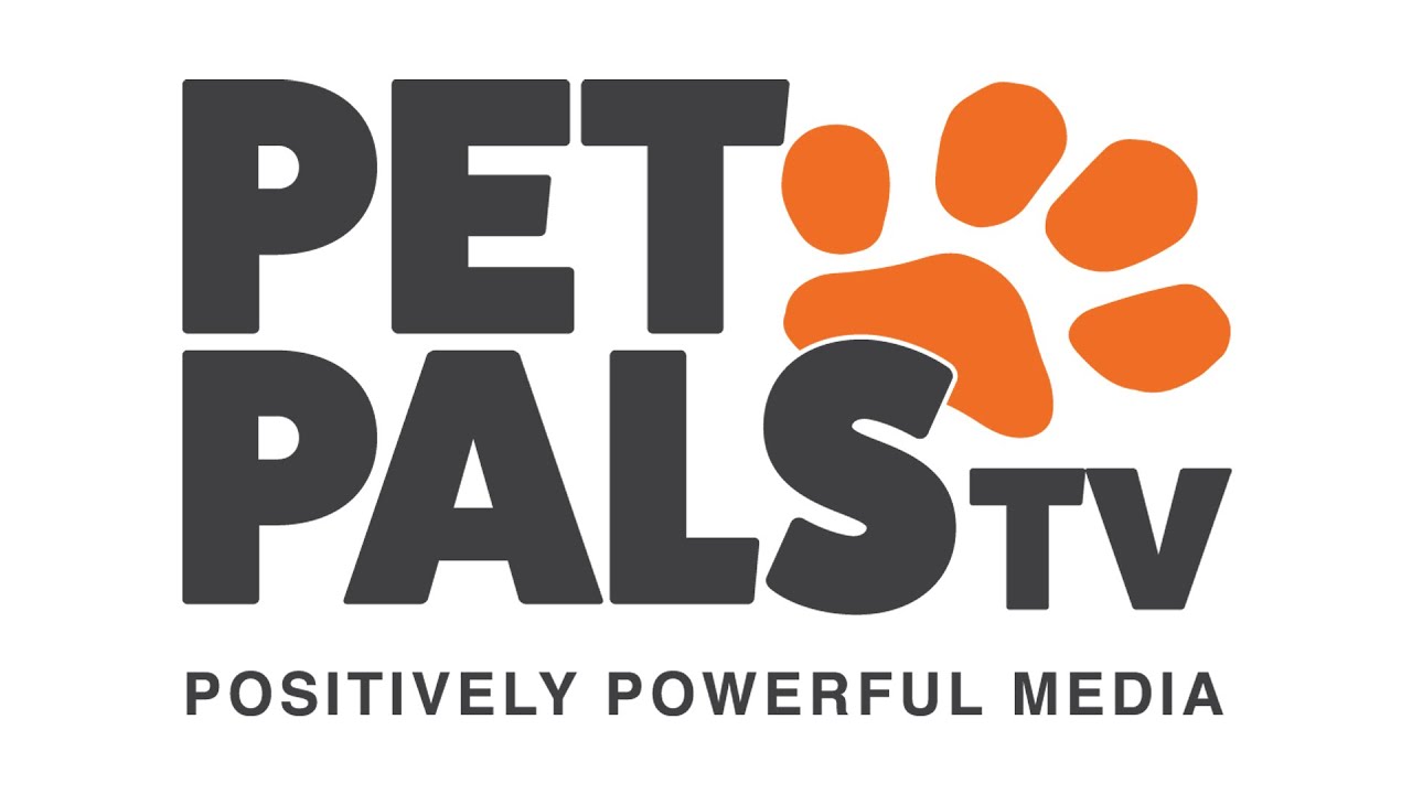 Pet Pals TV